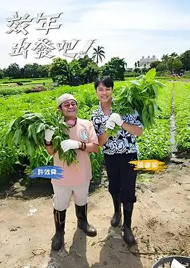 国产综艺免费观看 城市漫游者封面